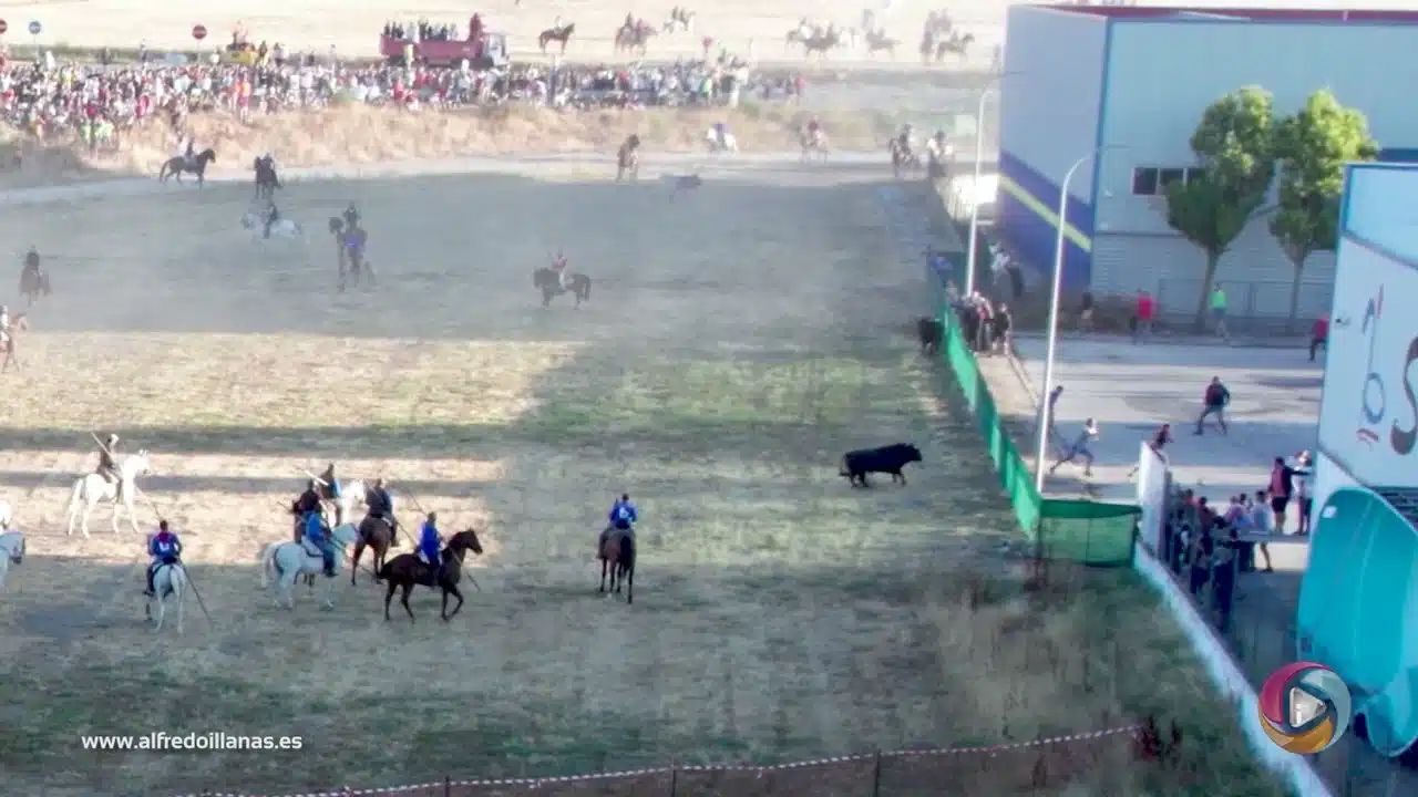 Toro hace correr al público